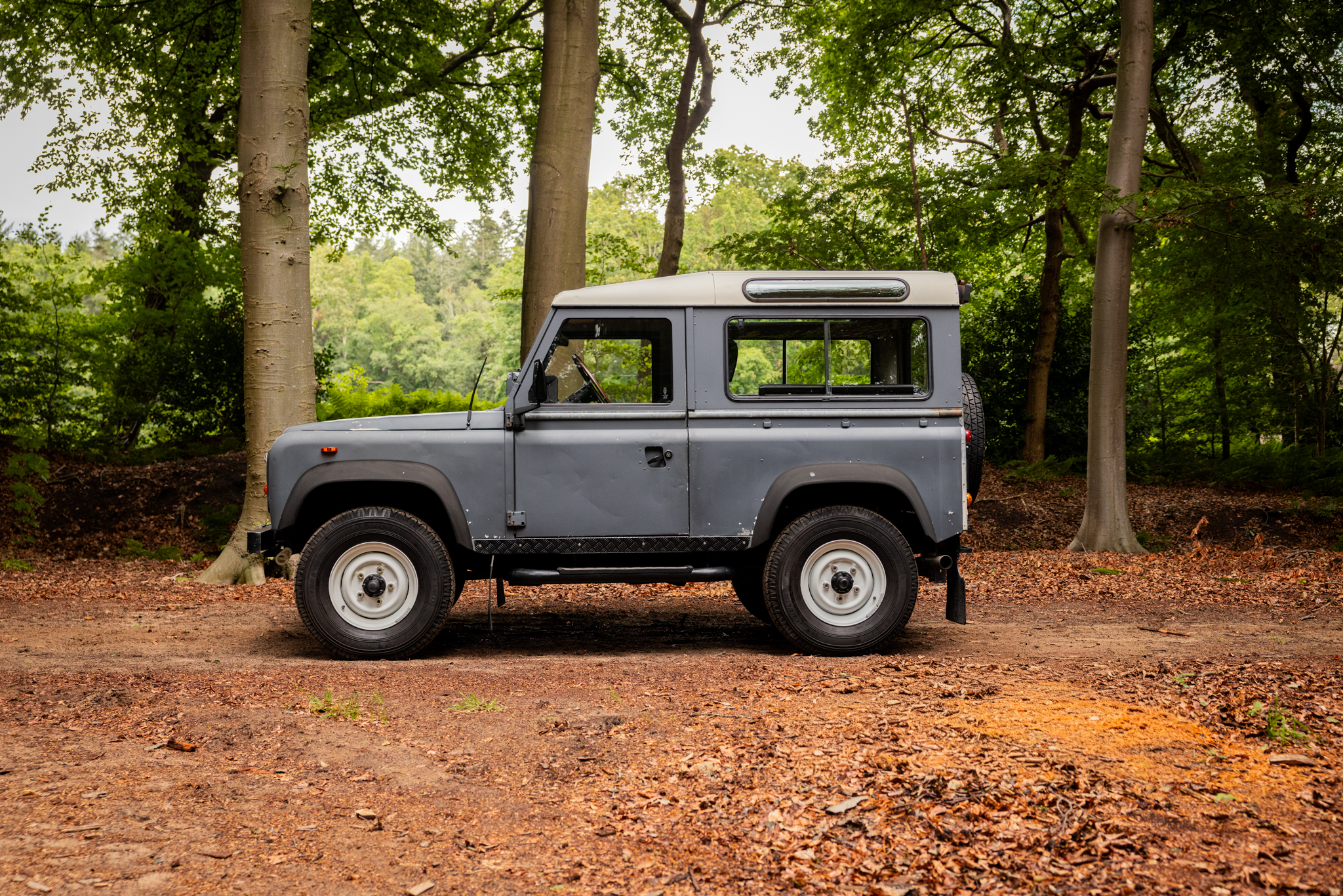 Range Rover 4.4 SDV8 Autobiography(2015)